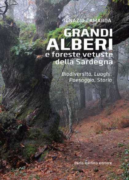 Grandi alberi e foreste vetuste della Sardegna