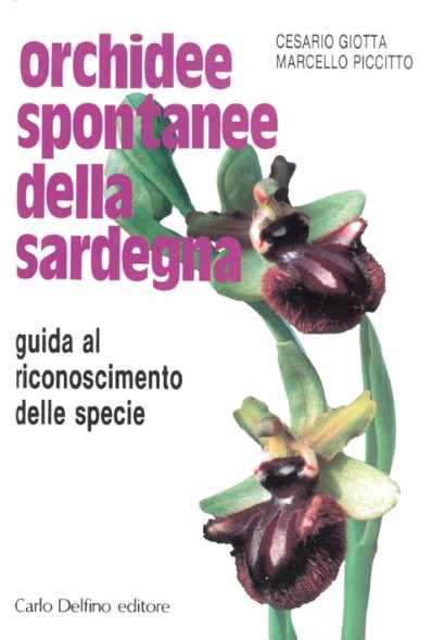 Orchidee spontanee della Sardegna