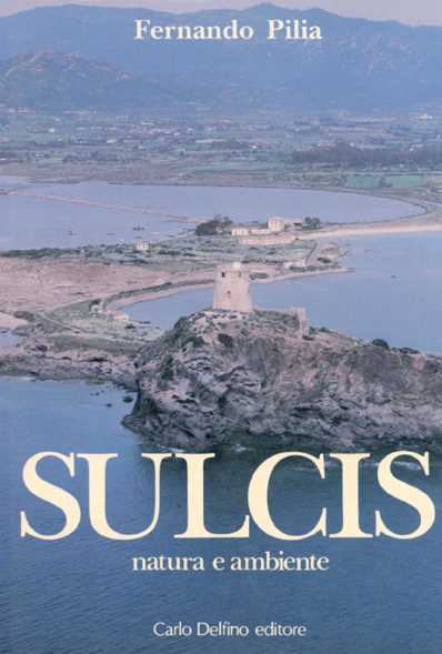 Sulcis