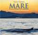 Mare